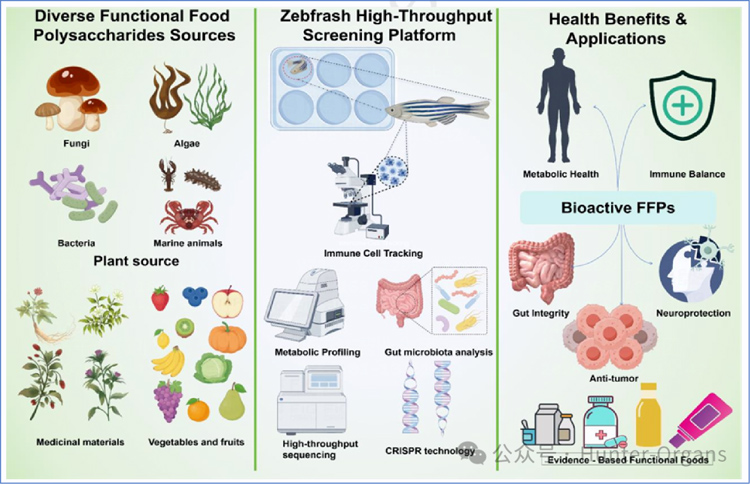 1771998907791378.jpg 1.jpg