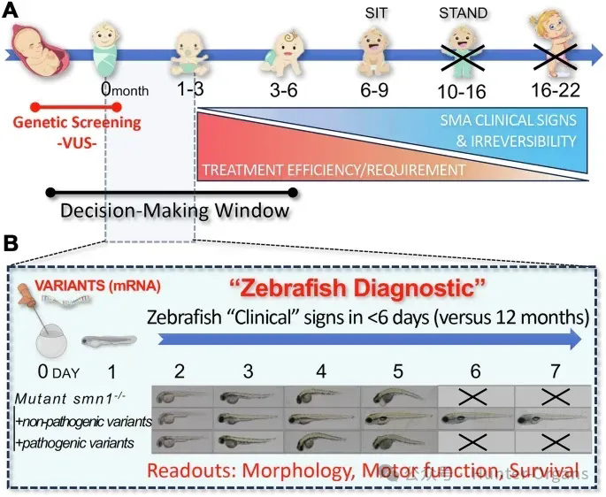 1772244569204161.jpg 10.jpg