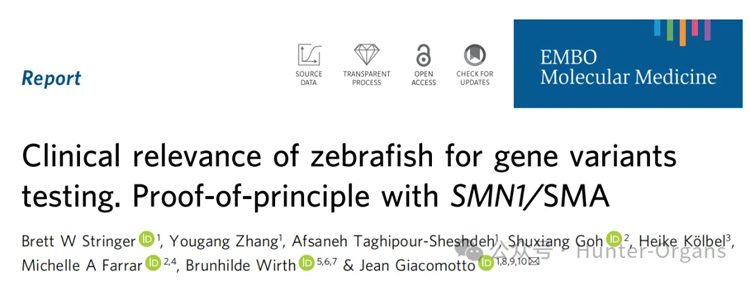 1772244587580856.jpg 9.jpg