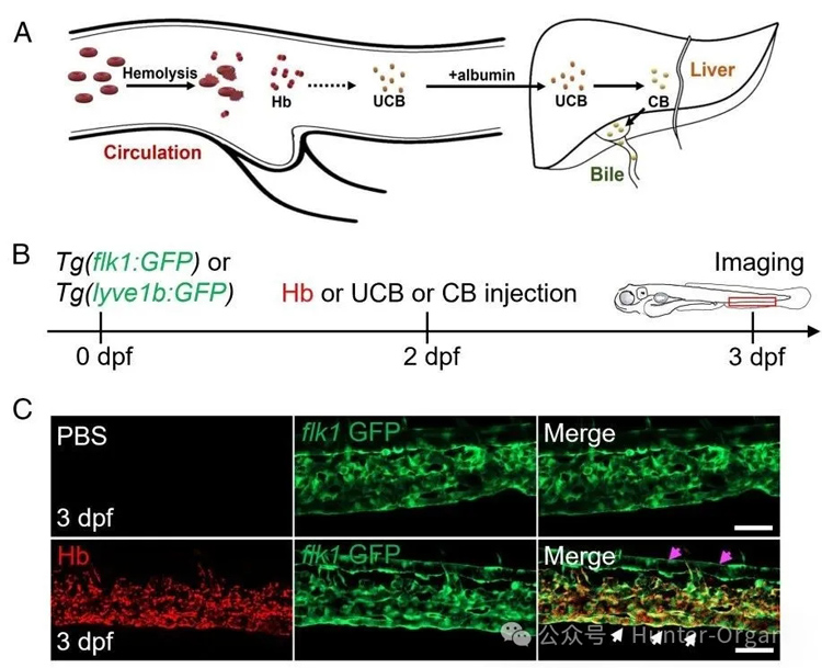 1772244600349965.jpg 6.jpg