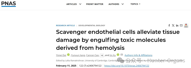 1772244604187568.jpg 5.jpg