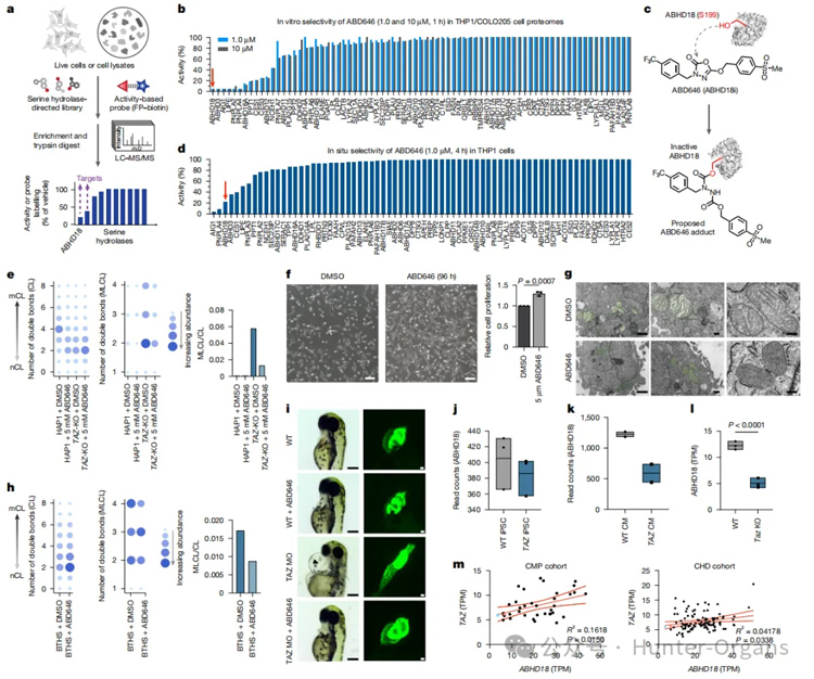 1772244614477200.jpg 2.jpg