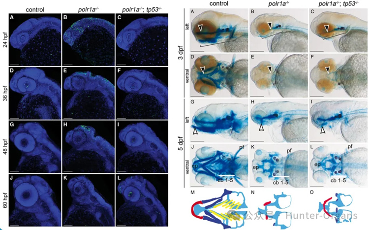 1772245874223201.jpg 6.jpg