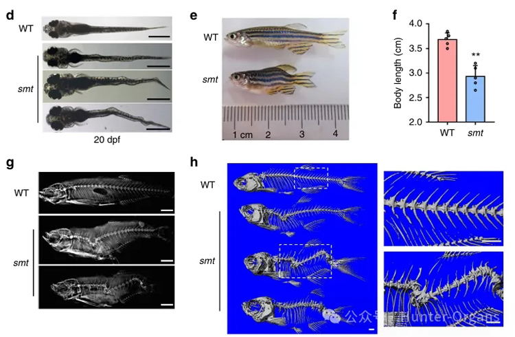 1772245885188202.jpg 3.jpg