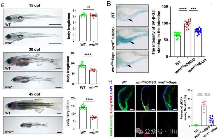 1772245889105557.jpg 2.jpg