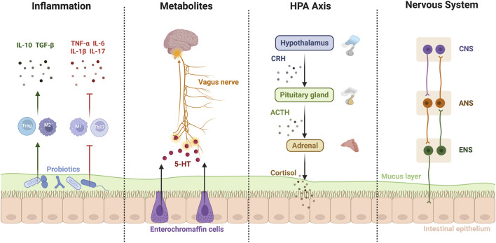 1774068050482645.jpg fphar-16-1709060-g002.jpg
