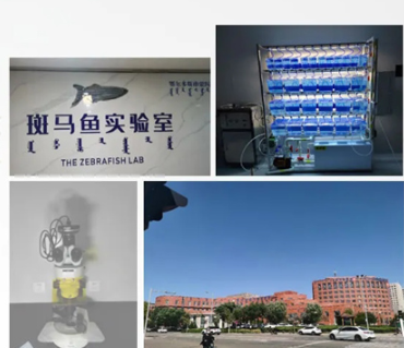 1775809323206121.png image.png