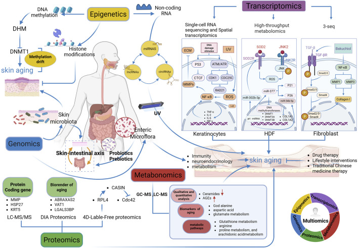 1776231672187832.jpg fragi-06-1596050-g001.jpg
