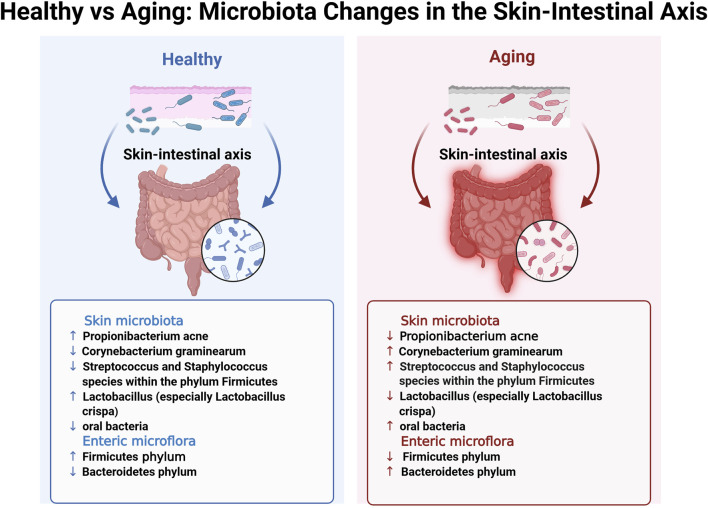 1776231823187011.jpg fragi-06-1596050-g002.jpg