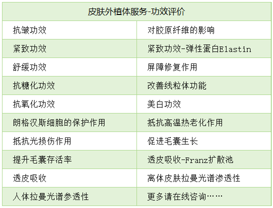 皮肤外植体评价化妆品功效
