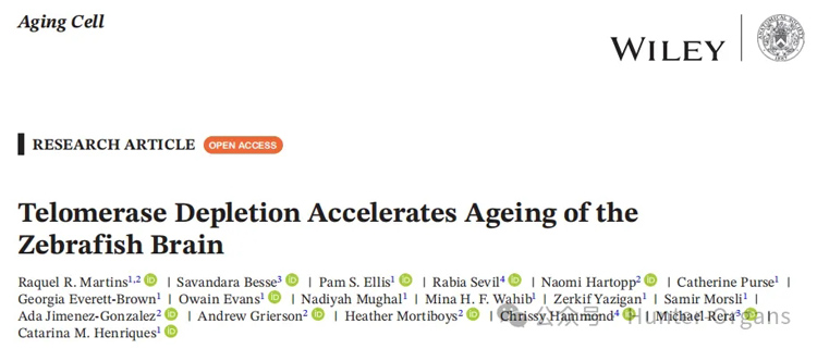 0.jpg