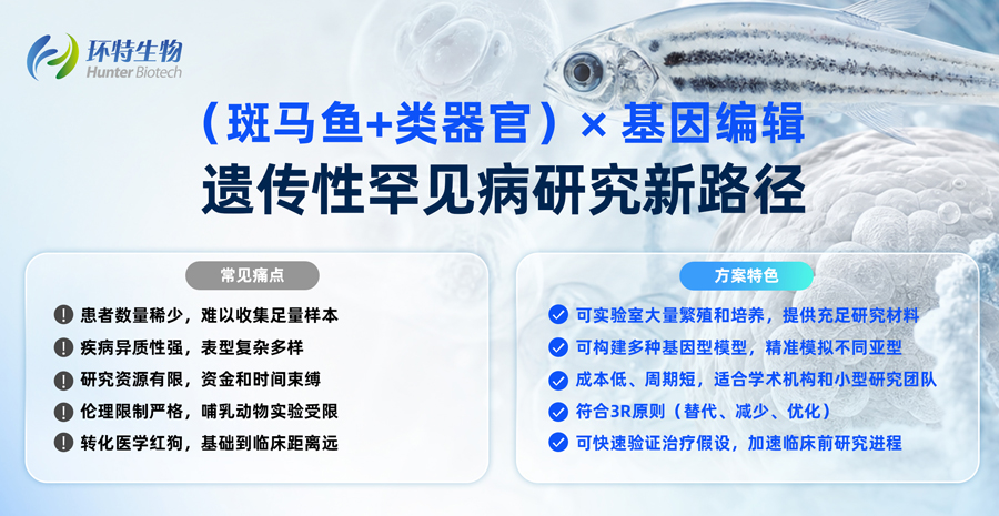 图11.jpg