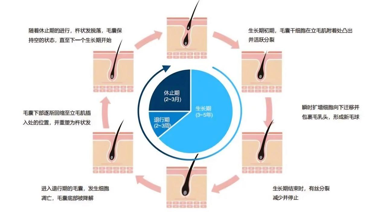 0de14a80-939f-4991-b236-6e5f33fc771a.png