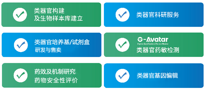 类器官服务项目